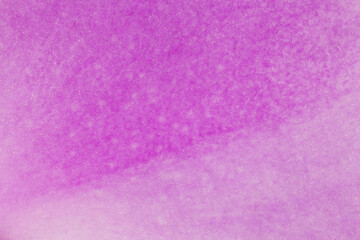 close up of purple orchid petal texture