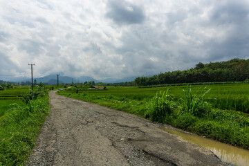 Fototapeta na wymiar broken road with puddles and village view in indonesian agricultural area