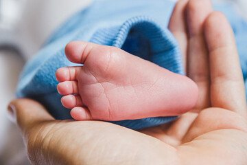 pie de un bebé recién nacido en la mano de su madre
