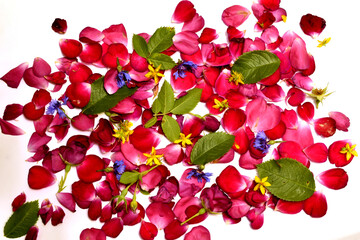Rose petals and green leaves are scattered on the table.