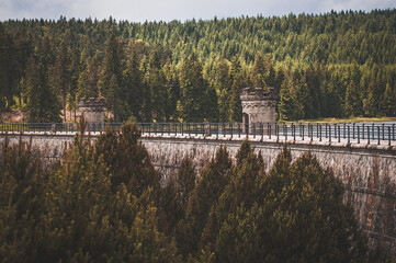 bridge over the river