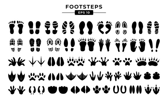 various collections of human and animal footprints silhouette vector collection eps 10