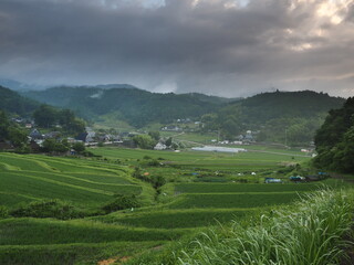 6月の風景