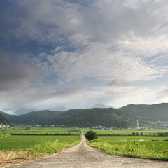 初夏の田園