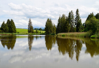 Fototapeta na wymiar alpine lake surrounded by the trees on a sunny day in June in Allgaeu or Allgau, Bavaria, Germany 