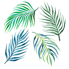 Palm branches painted in watercolor, set isolated on white