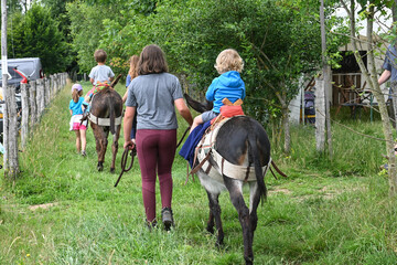 balade ballade âne anesse enfant visite ferme Wallonie Belgique bature