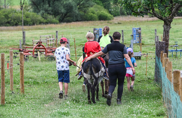 balade ballade âne anesse enfant visite ferme Wallonie Belgique bature