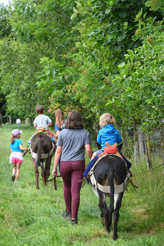 balade ballade &acirc;ne anesse enfant visite ferme Wallonie Belgique bature