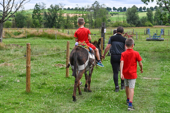 balade ballade &acirc;ne anesse enfant visite ferme Wallonie Belgique bature