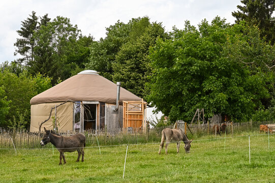 Belgique Wallonie Ardenne location sejour ferme yourte nature environnement animaux &acirc;ne