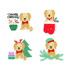 Christmas puppy labrador golden retriever. Cute cartoon illustration with dog lovers quote. We woof you a Merry Christmas. Holidays design elment for greeting cards, stickers, t shirt, poster.