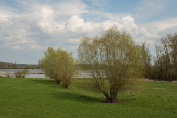 Biosphärenreservat Niedersächsische Elbtalaue