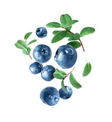Blueberries with dew drops in the air closeup isolated on a white background