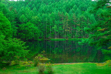 新緑の御射鹿池