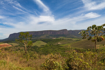 Vegetation and native landscapes in Serra da Canastra in Minas Gerais