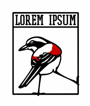 Vector card with hand drawn cute curious little bird with red wings in austere frame. Ink drawing, graphic style. Beautiful wild nature design elements, logo template