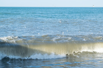 waves on the beach
