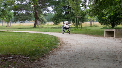 White bear teddy bear sitting on a wheelchair on a green path in a park