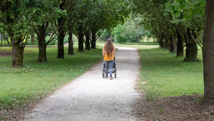 Fototapeta premium Young woman with long hair pushing a wheelchair through the middle of a tree-lined driveway in a park, rear view