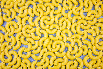 Raw rigate pasta. Background pasta rigate. Uncooked natural pasta background.
