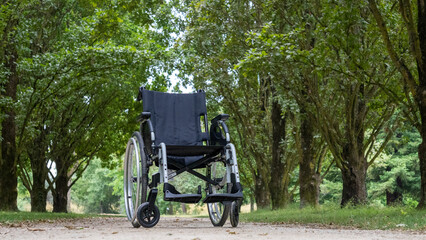 Fototapeta na wymiar Wheelchair, on a path lined with trees, in the middle of a green park