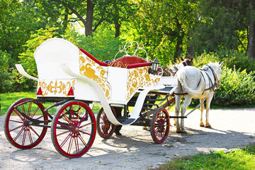 Fototapeta na wymiar Very beautiful white cart in the park Oleksandriya, Bila Tserkva, Kyiv region, Ukraine