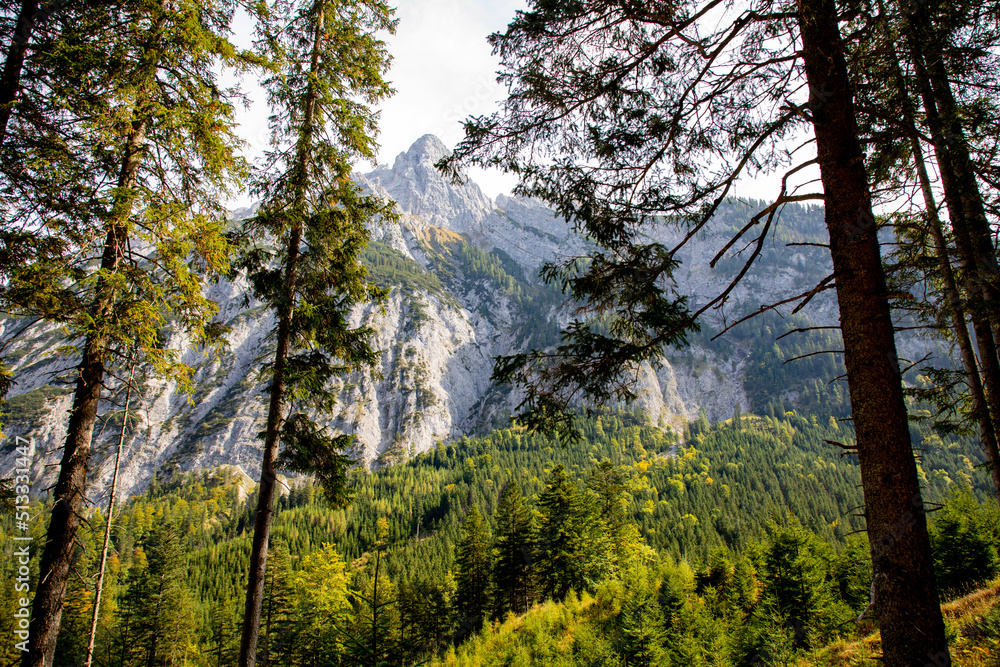 Wall mural scenic landscape of the european alps mountain with trees in the front during a hiking tour to the s