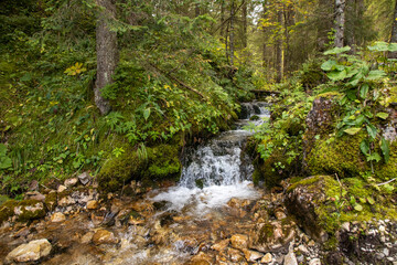 Waterfall in the forest at the european alps during a hiking tour to the small 
