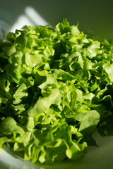 fresh green salad