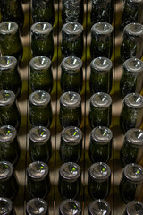 Obraz premium wine bottles on racks in the cellar.