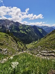 Fototapeta na wymiar Alp in valley of Oytal canyon in Bavaria Germany. Summer time.