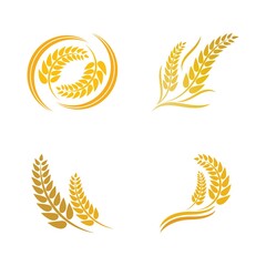 Wheat logo vector icon illustration