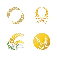 Obraz premium Wheat logo vector icon illustration