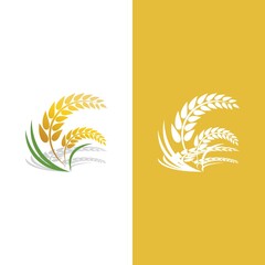 Fototapeta na wymiar Wheat logo vector icon illustration