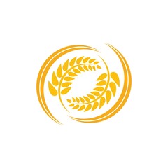 Obraz premium Wheat logo vector icon illustration
