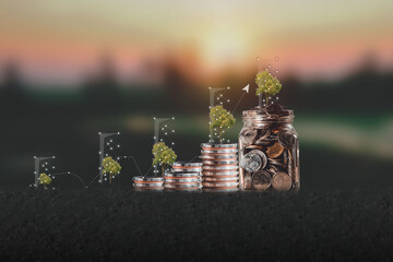 capital increase Finance and investment. Diagram. Finance and banking business concept. Savings on Bokeh Green Backgrounds Trees that grow with coins are popular.