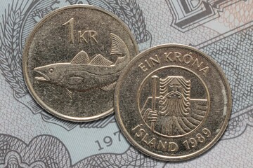 Icelandic krona coin obverse and reverse - obrazy, fototapety, plakaty