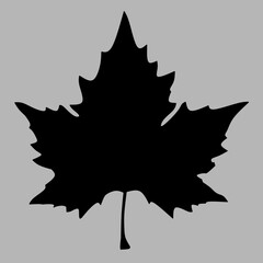 maple leaf silhouette