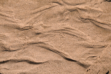 Top view of a sea sand. Background, texture, summer vibes