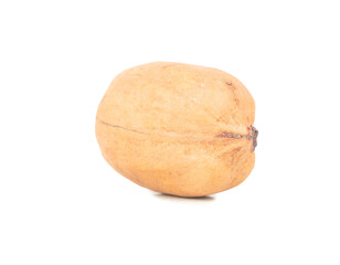 Isolated pecan nut