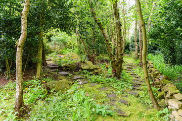 Obraz premium Stone path through a moss covered forest garden area.