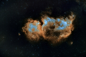 Obraz na płótnie Canvas Soul Nebula