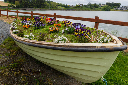 Rowing boat filled with soil and flowers.