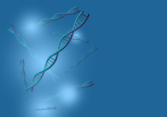 Fototapeta na wymiar Chain DNA. Genetic elements on blue. Concept of DNA expertise for kinship analysis. Human DNA testing. Study of genetic material. Human genome strands visualization. Genetic modeling. 3d rendering.