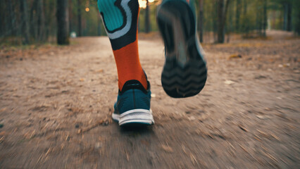 Fototapeta na wymiar Male feet in colorful long socks and blue sneakers run along forest path. Runner does training outdoors. Jogging through pine forest