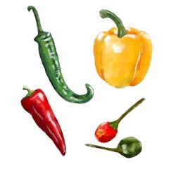 Red, green, yellow and red chilli and sweet peppers
