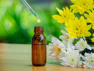 The essential oils extract and medical flowers herbs near the white and yellow flower on wooden table. The essential oil organic bio alternative medicine, brown bottle.