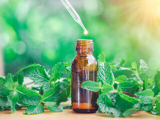 The peppermint extract in small bottle near peppermint leaf on wooden table. The essential oil falling from glass dropper into organic bio alternative medicine, brown bottle.