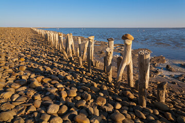 France, Camargue; poteaux de bois le long de la côte  // France, Camargue; wooden poles along the coast